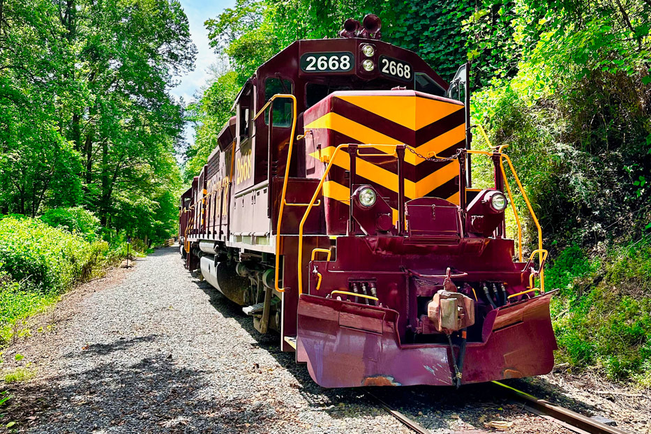 GSMR Great Smoky Mountains Railroad Museum :: Museum Finder ...